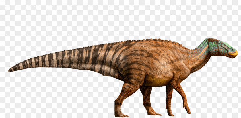 Jurassic World Edmontosaurus Gallimimus Tyrannosaurus Dinosaur Park PNG