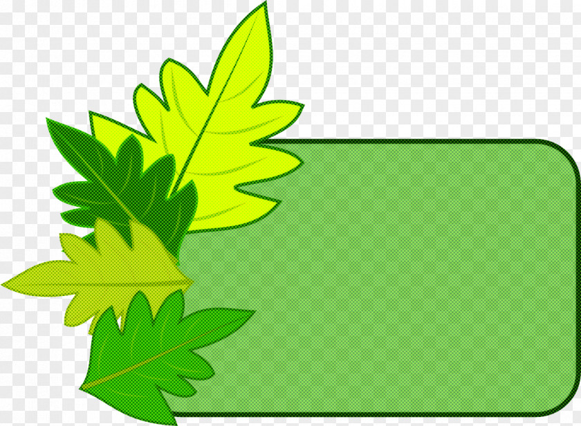 Leaf Green Yellow Plant Tree PNG