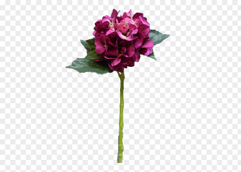 Lilac Wine Garden Roses The Sims 2: Celebration! Stuff Cut Flowers Flower Bouquet Cabbage Rose PNG