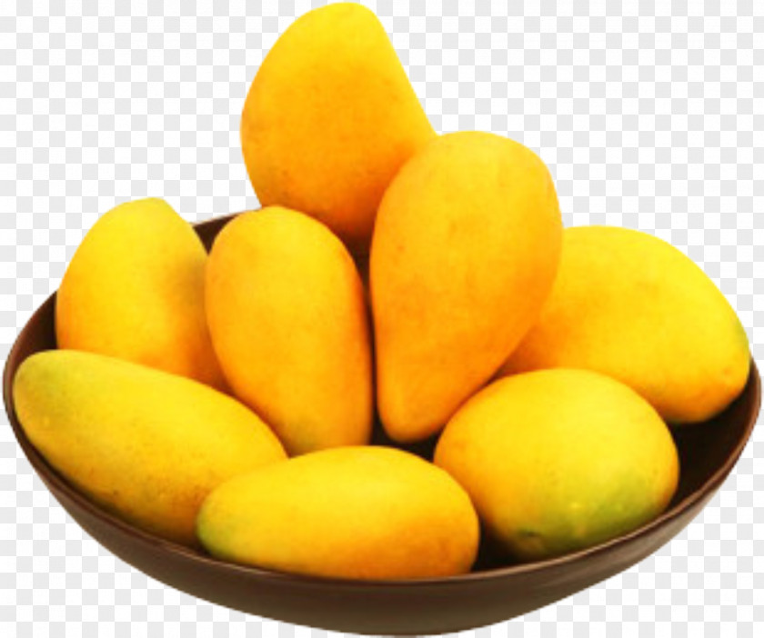 Mango Material Fruit PNG