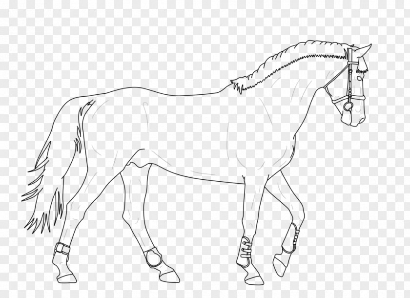 Mustang Mule Bridle Foal Stallion Colt PNG