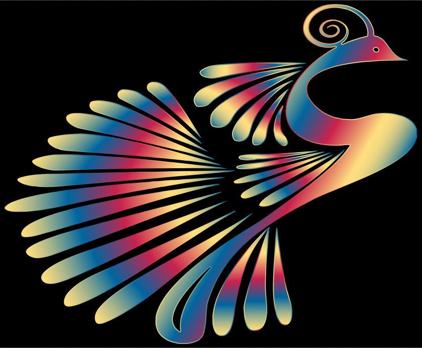 Peacock Peafowl Color Bird Desktop Wallpaper Clip Art PNG
