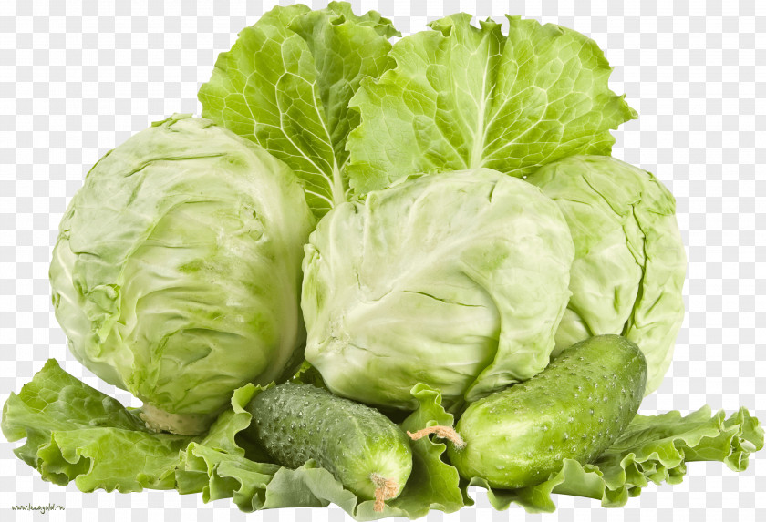 Cabbage Image Red White Vegetable Cauliflower PNG