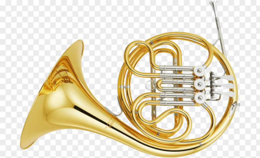 French Horn Horns Musical Instruments Brass PNG