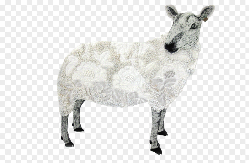 Sheep Cattle Goat Horn Animal PNG