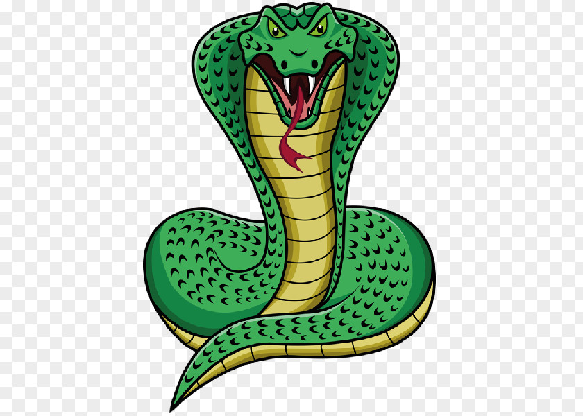 Snakes Snake King Cobra Clip Art PNG