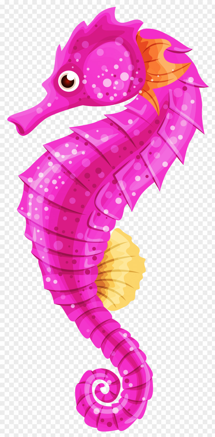 Starfish Seahorse Clip Art PNG