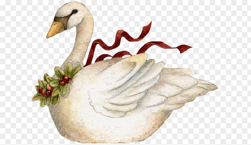 Swan Goose Duck Bird Mute Clip Art PNG