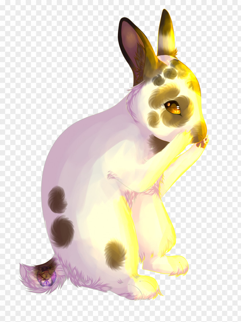 Afternoon Domestic Rabbit Hare National Geographic Animal Jam Art December PNG