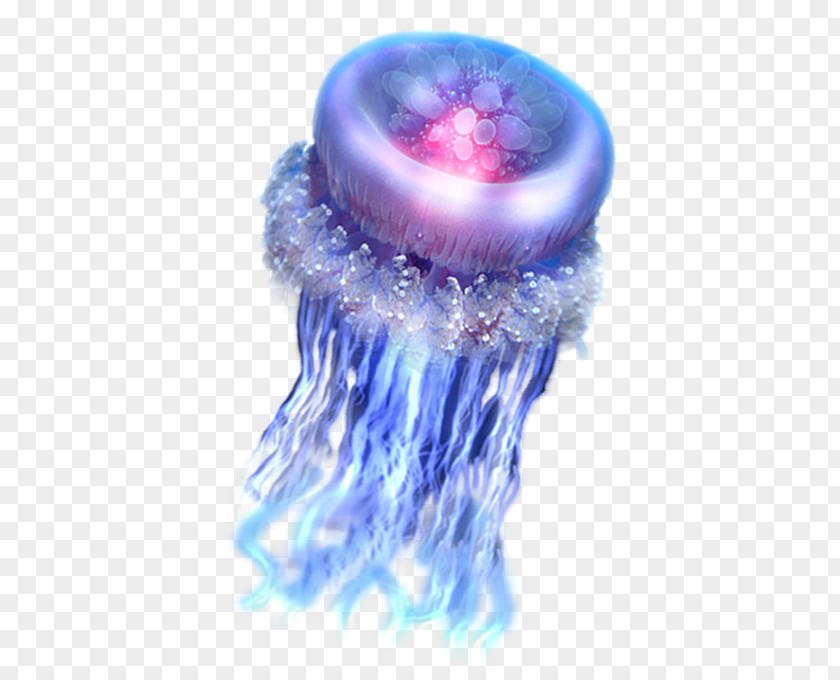 Aquatic Creature Jellyfish Sea Clip Art PNG