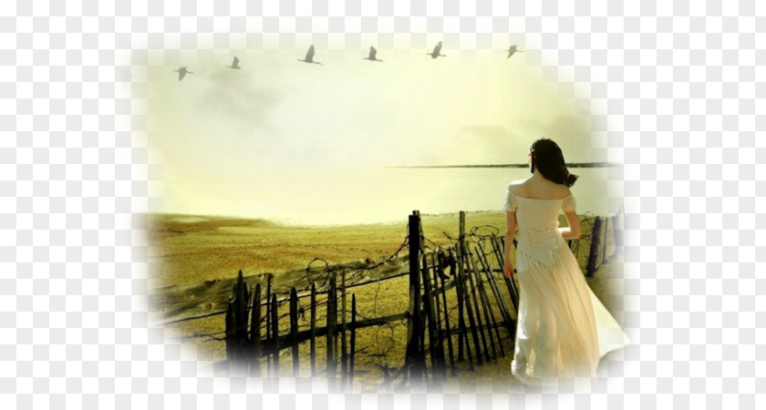 Borddemer Desktop Wallpaper Loneliness Female Sadness PNG