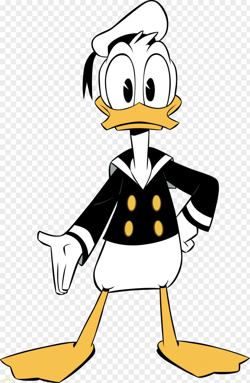 Donald Duck Huey, Dewey And Louie Scrooge McDuck Webby Vanderquack Disney XD PNG