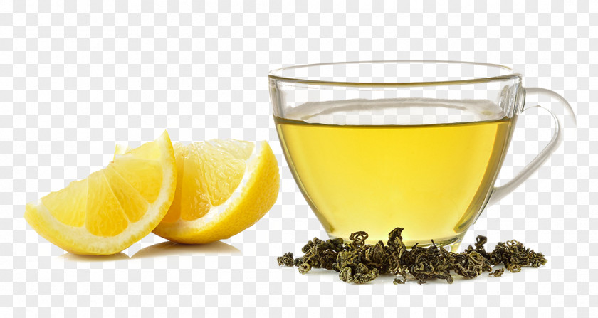 In Lemonade Lemon Slices And Dried Tea Leaves Next Cannabidiol Cannabis Drink Hemp Oil PNG