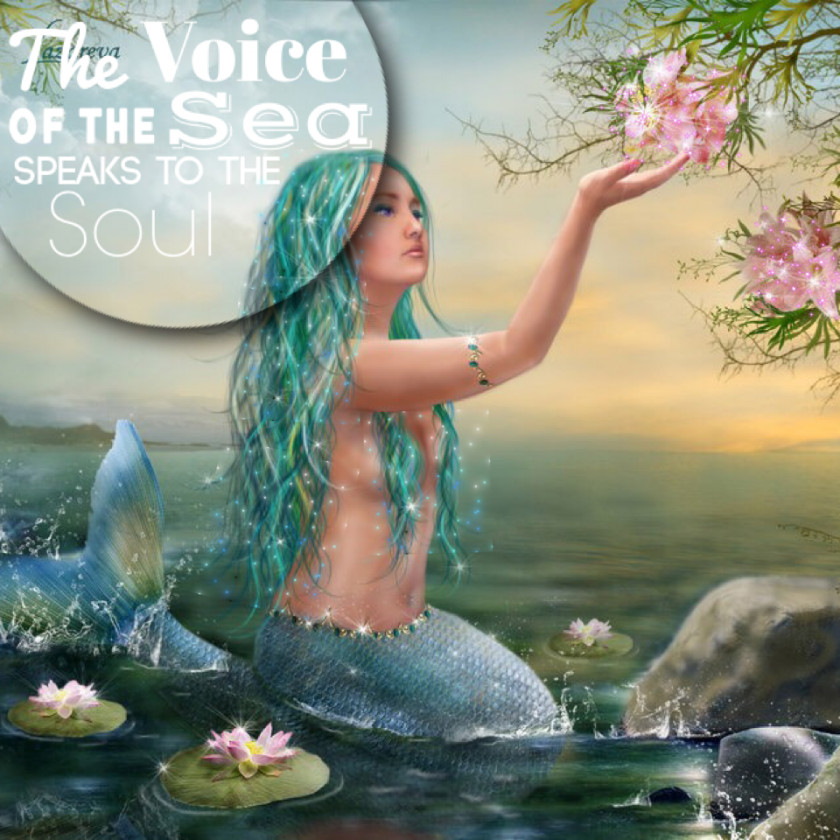 Mermaid Lorelei Siren Legendary Creature Mythology PNG