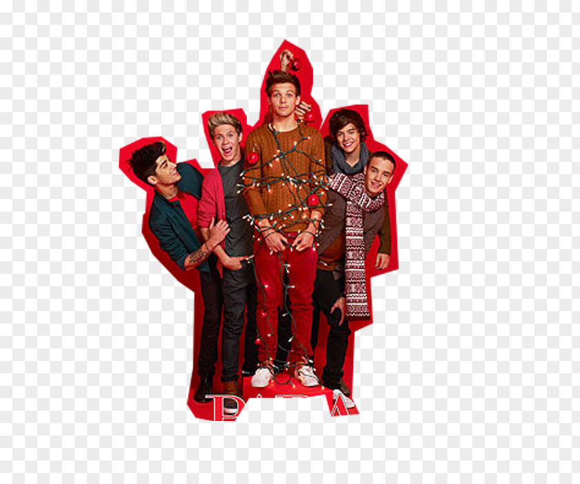 One Direction Photography Caricature PNG