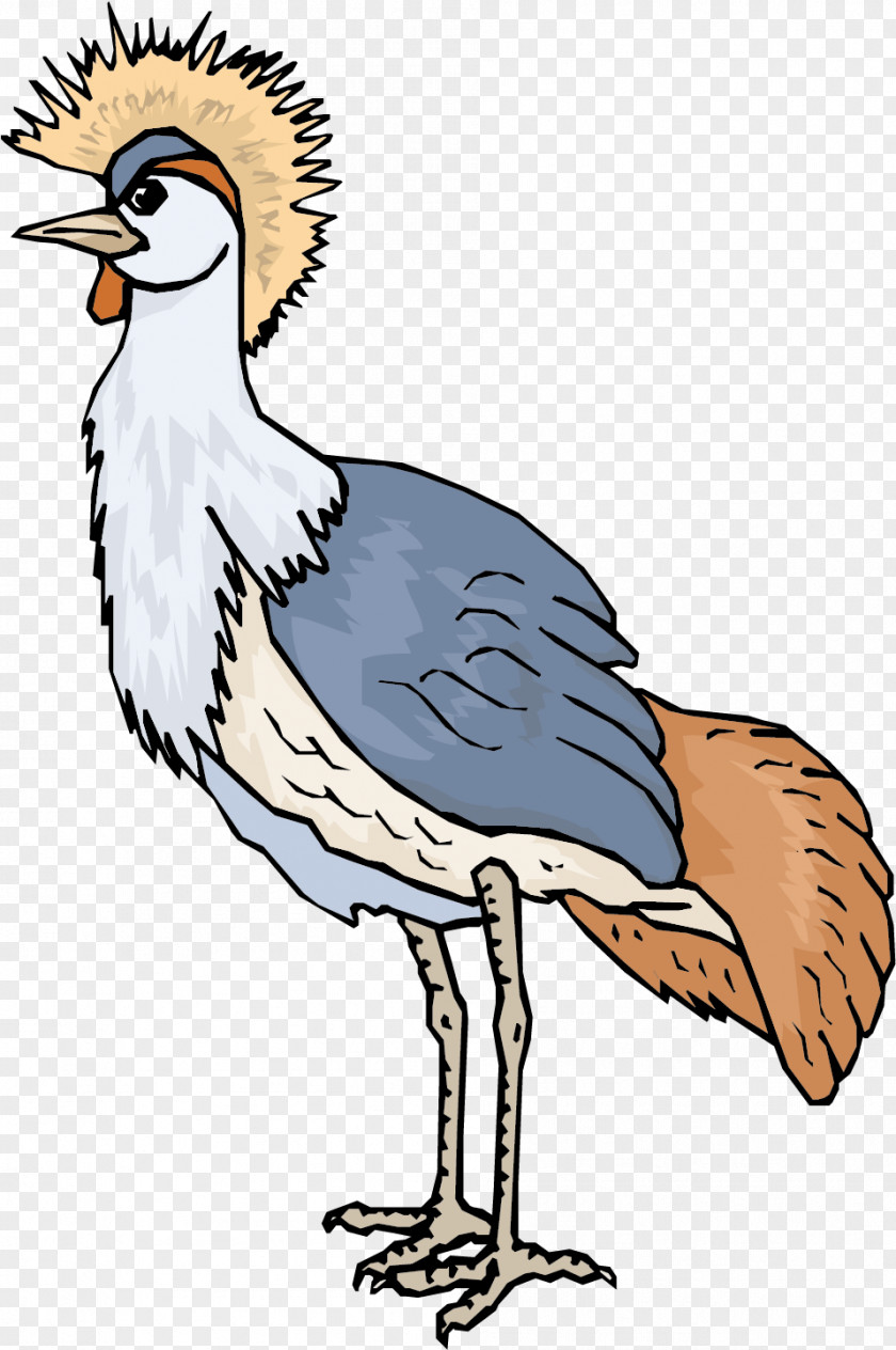 Tail Wildlife Crane Bird PNG