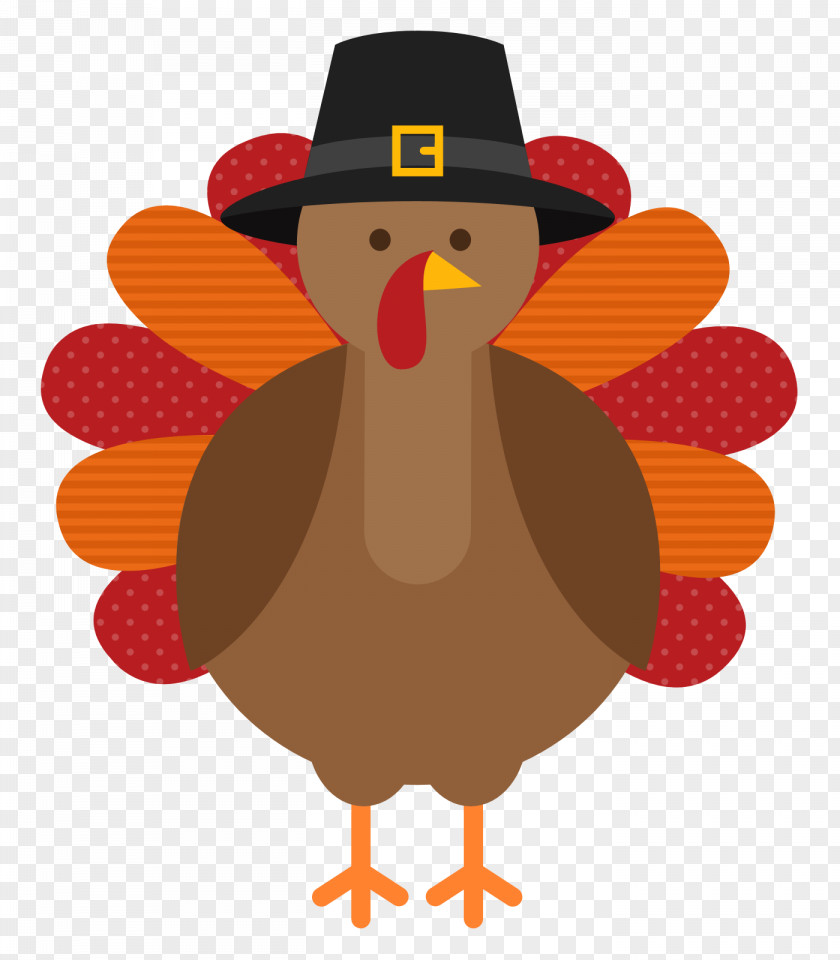 Thanksgiving Turkey PNG Turkey, peafowl with hat clipart PNG
