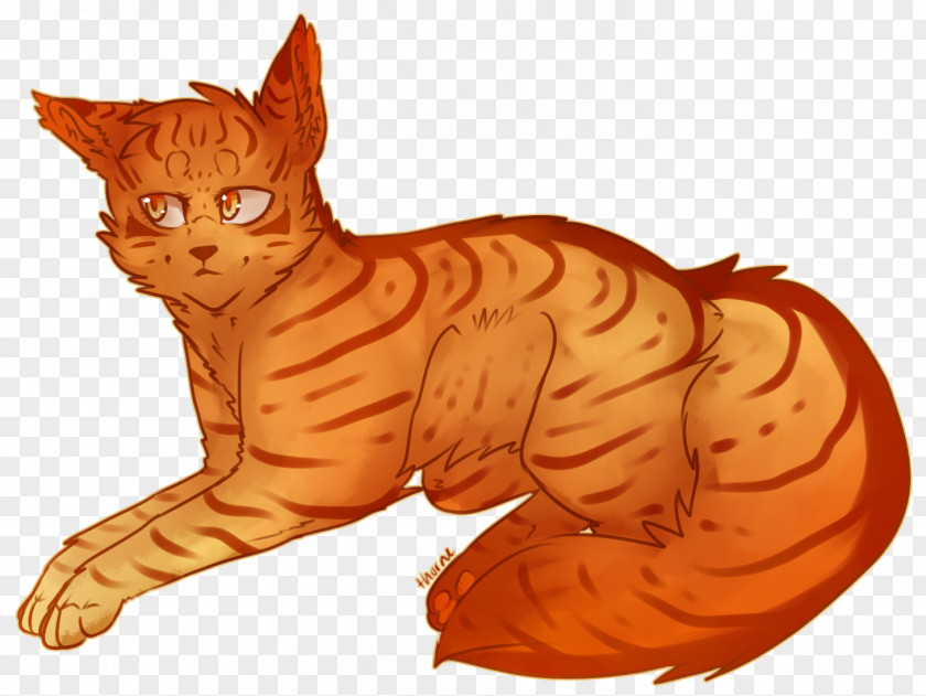 Cat Whiskers Tiger Mothwing Warriors PNG