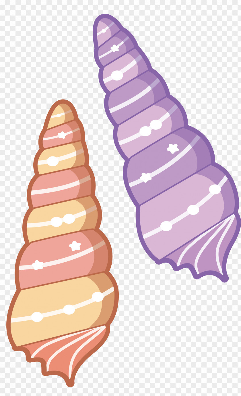 Color Slender Conch Seashell PNG