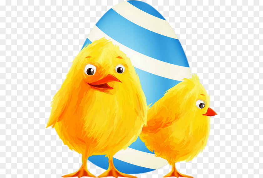 Easter Clip Art Chick Kifaranga Chicken Image PNG