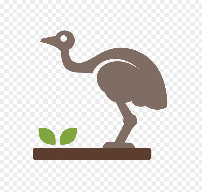Emu Bird Common Ostrich Clip Art PNG