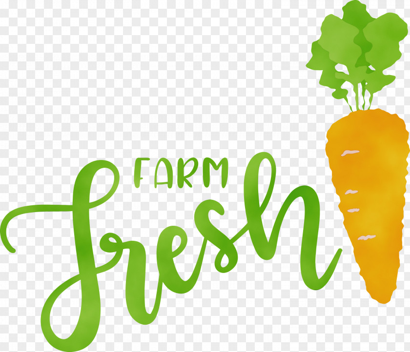 Leaf Plant Stem Vegetable Logo Green PNG