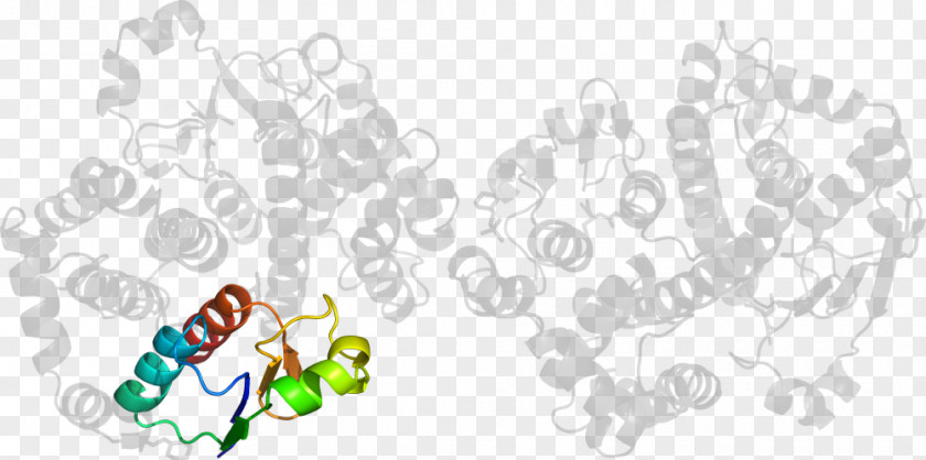 Line Tree Point Clip Art PNG