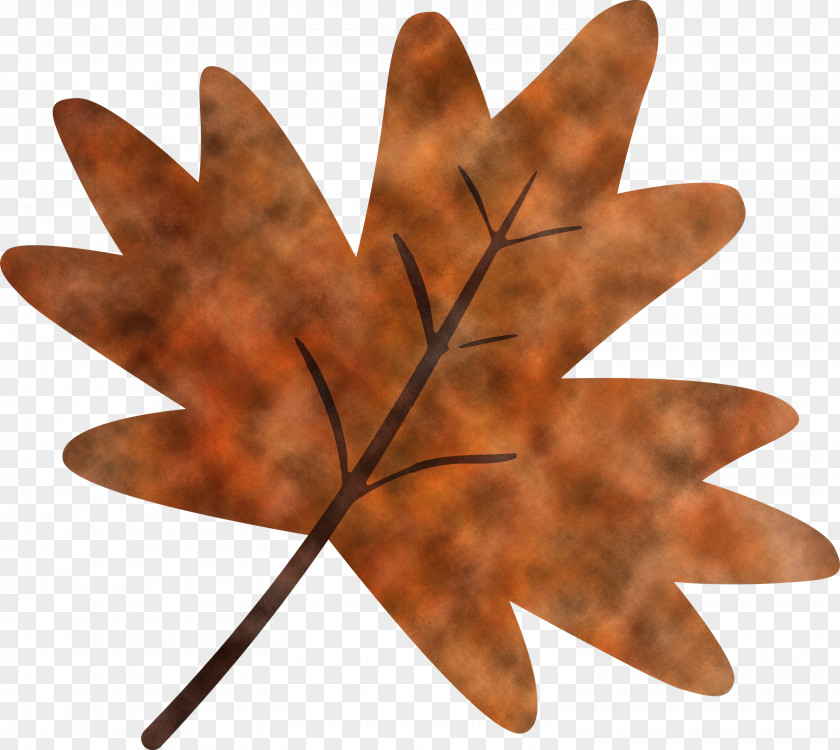 Maple Leaf PNG