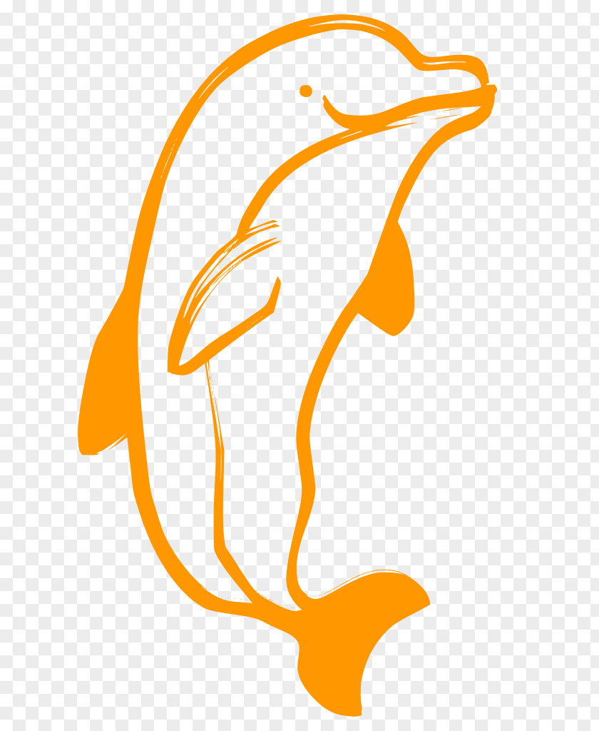 Tucuxi Common Dolphins Dolphin Cartoon PNG