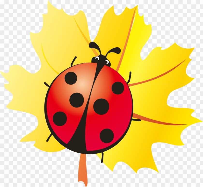 Maple Ladybug Handle Elements Ladybird Beetle PNG