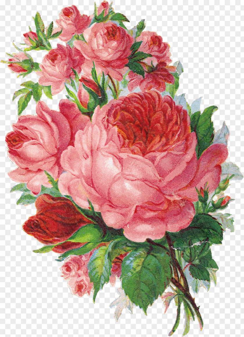 Watercolor Roses Flower Painting Rose PNG