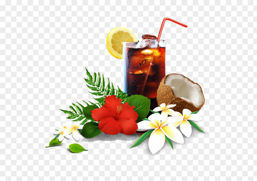Drinks Beach Poster Auringonotto PNG