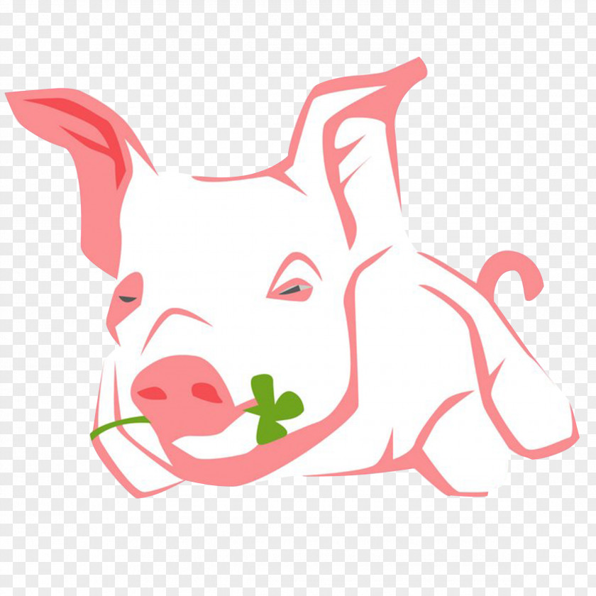 Pig Domestic Dog Illustration PNG