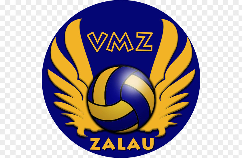 Volleyball VM Zalău CS Arcada Galați Tricolorul LMV Ploiești PNG