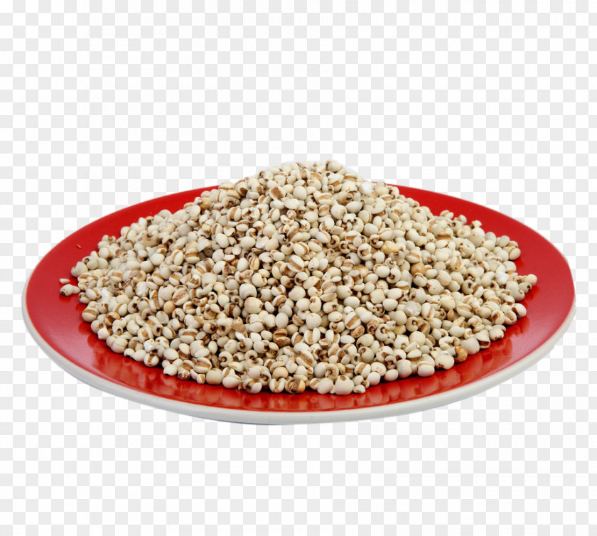 Barley Adlay Cereal PNG