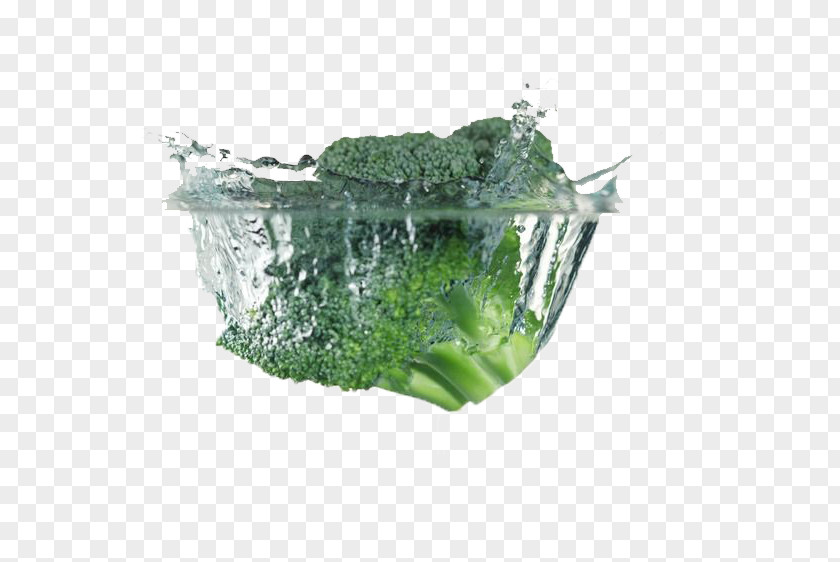 Broccoli Immersed In Water Cardiovascular Disease Blood Vessel Vegetable Food PNG