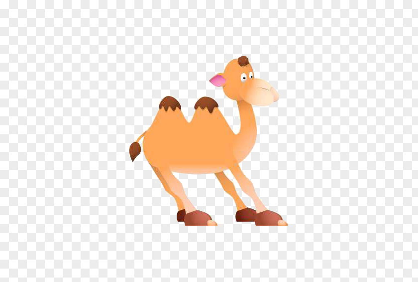 Cartoon Camel Bactrian Drawing Clip Art PNG