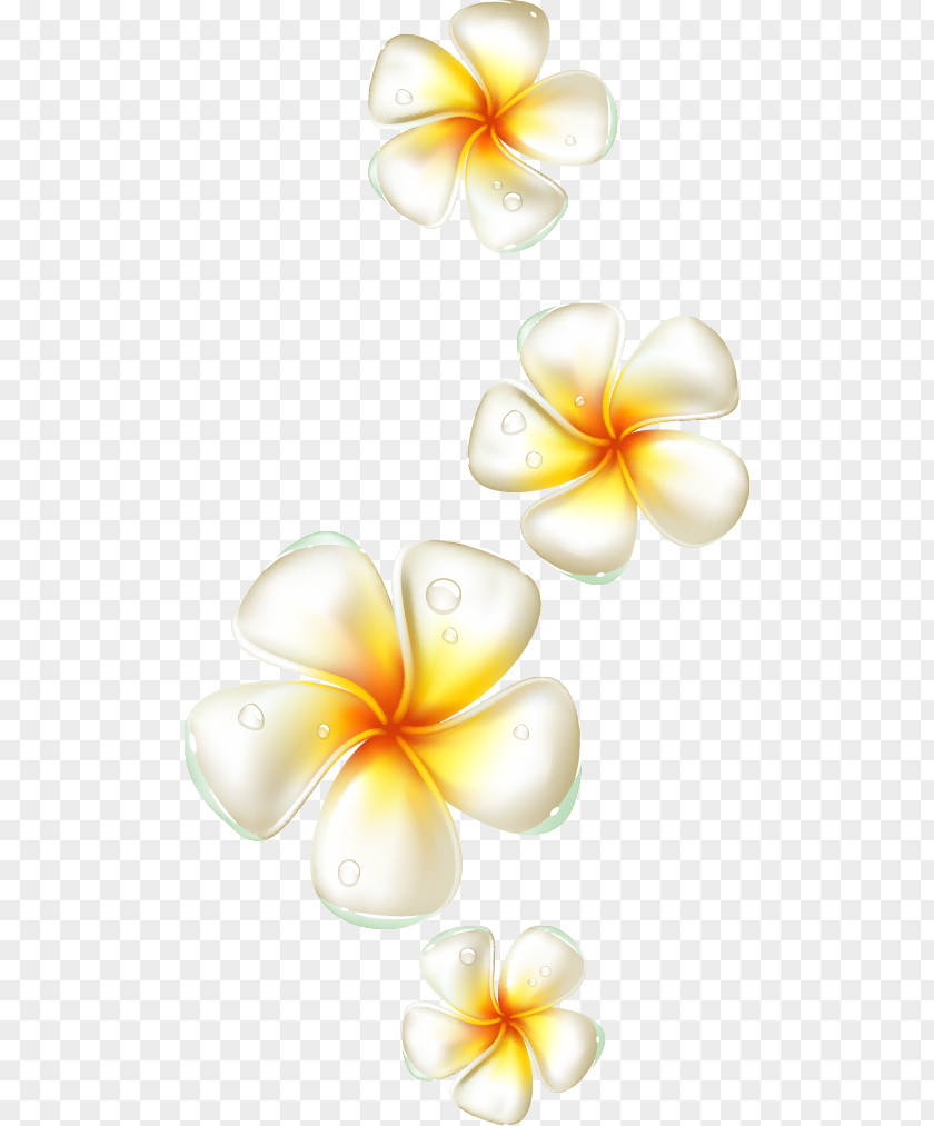 Egg Flower Elements Frangipani PNG