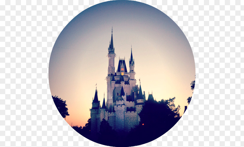 Magic Kingdom Epcot Sleeping Beauty Castle Disney World Main Street Electrical Parade PNG