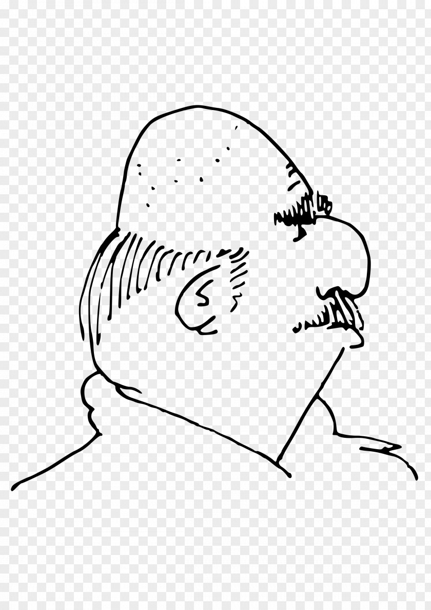 Moustache Hair Loss Clip Art PNG