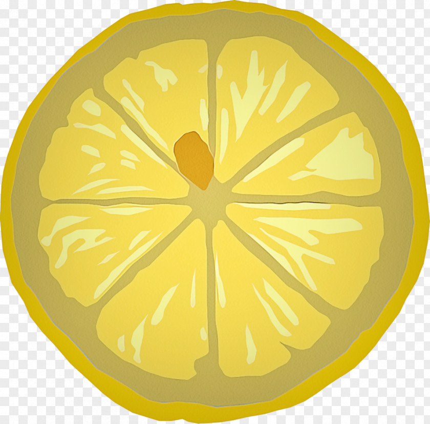 Plant Orange PNG