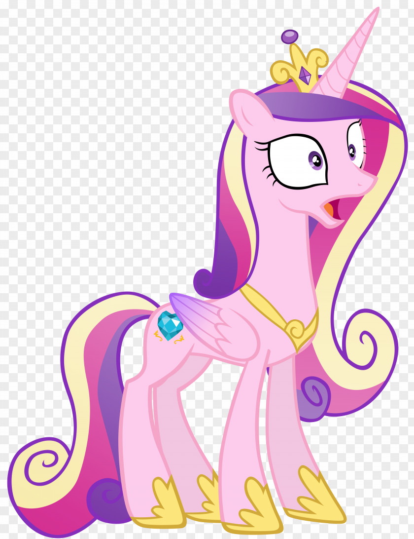Princes Pony Princess Cadance Rarity Winged Unicorn PNG