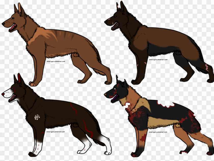 Sheperd Dog Breed Australian Kelpie Stumpy Tail Cattle German Shepherd PNG