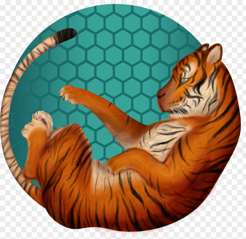 Tiger Whiskers Big Cat PNG