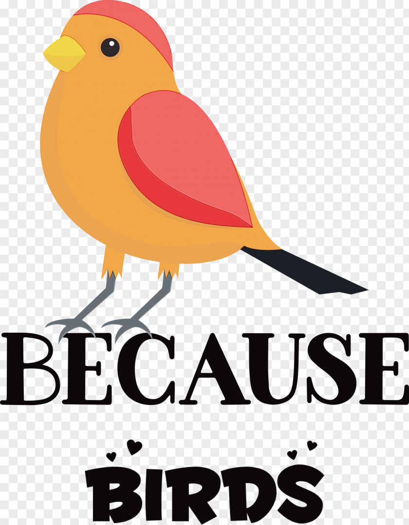Birds Logo Meter Beak PNG