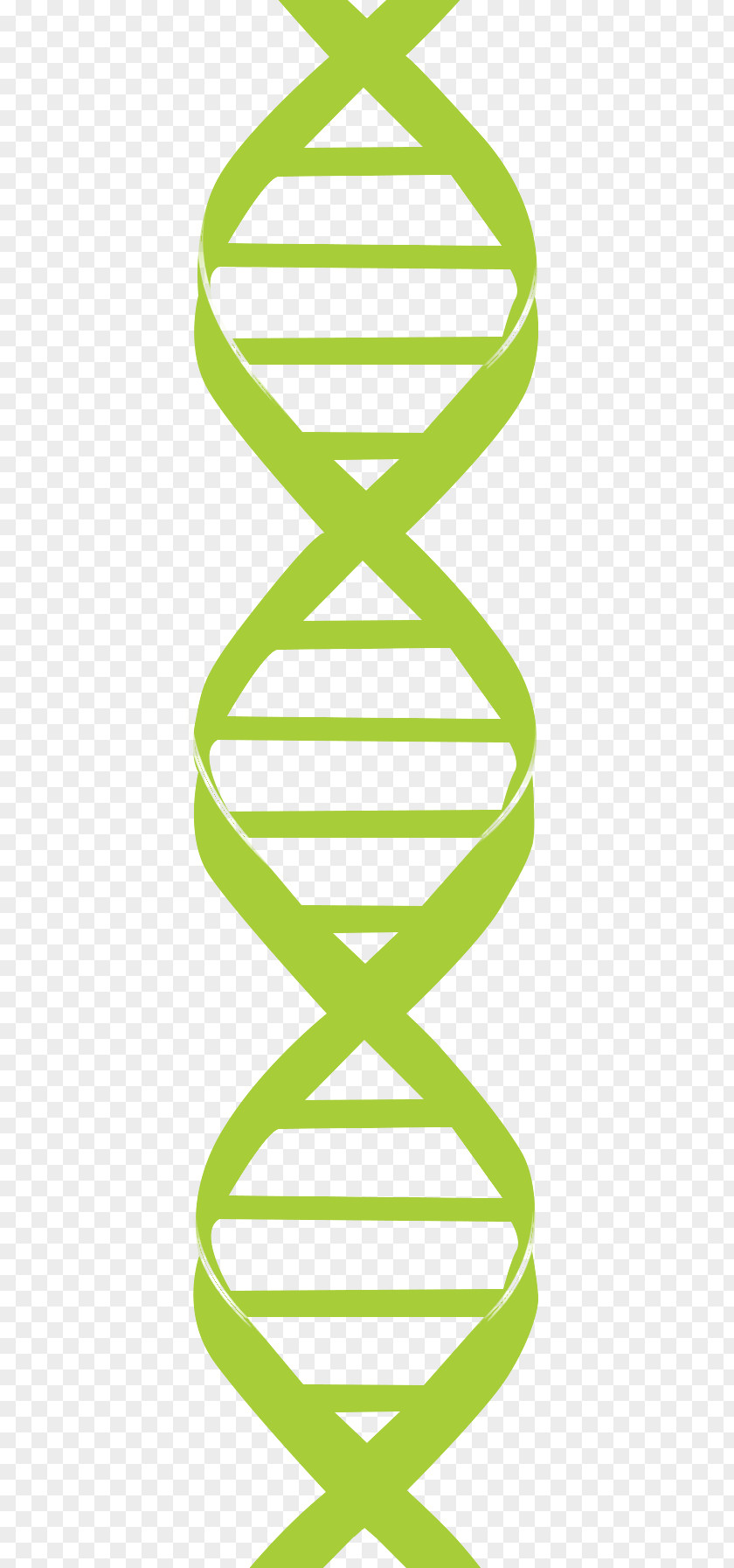 Dna Strand Clip Art Nucleic Acid Double Helix DNA Genetics PNG