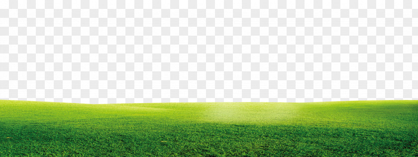 Green And Fresh Grass Border Texture Lawn Grassland Sky Atmosphere Wallpaper PNG