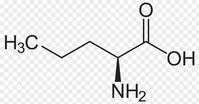 Methionine Isoleucine Essential Amino Acid PNG