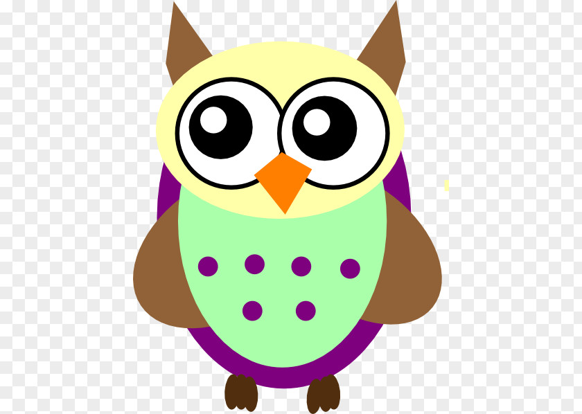 Owl Baby Owls Cartoon Clip Art PNG