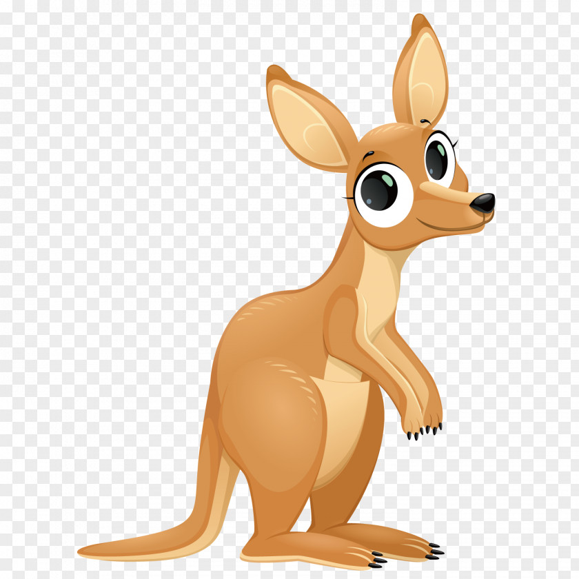 Vector Small Kangaroo Cartoon Illustration PNG